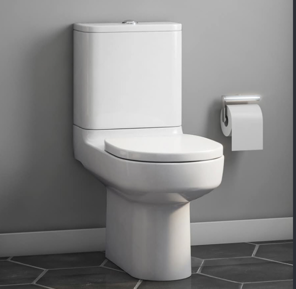 Toilet Bowl Standard